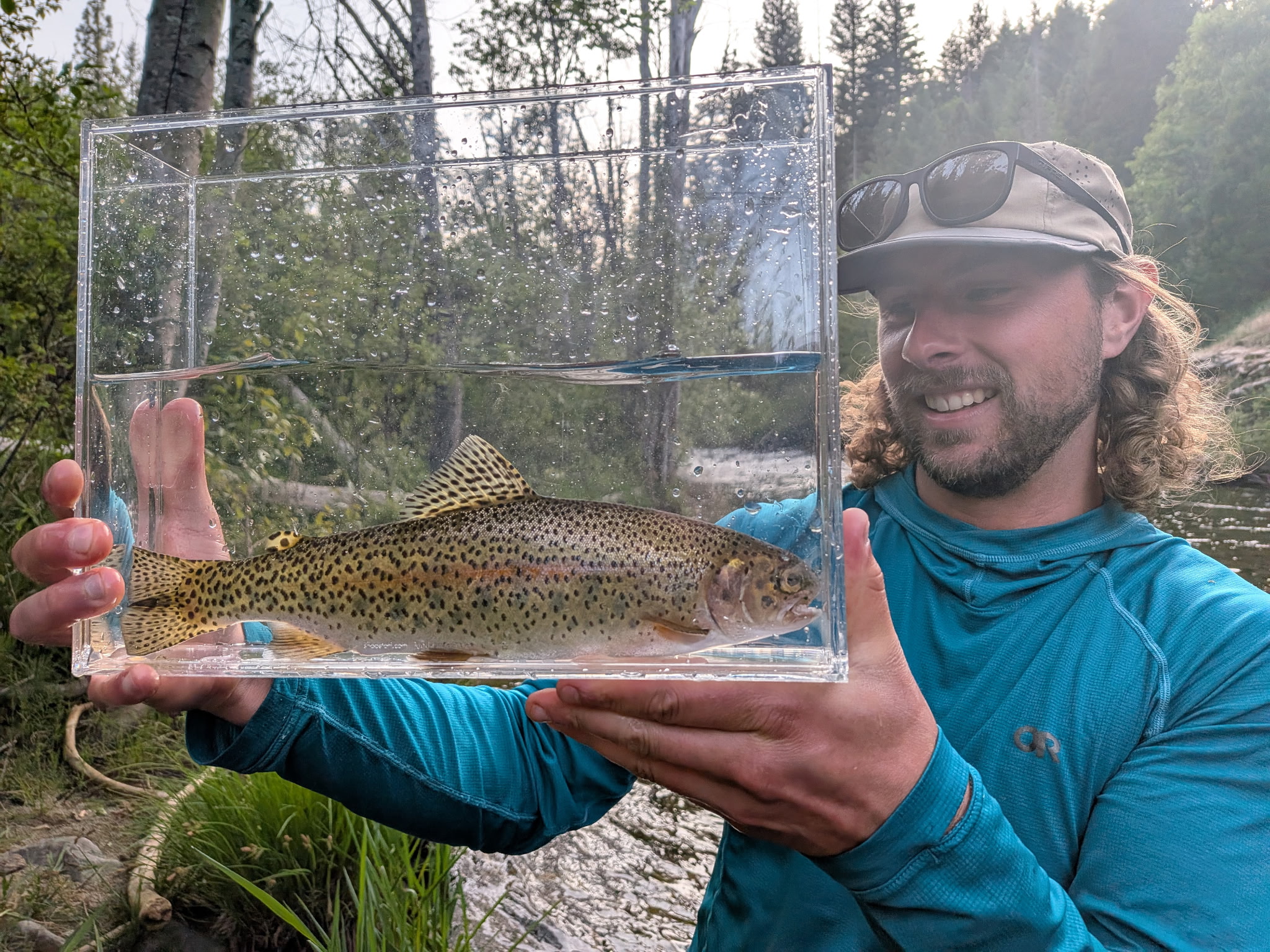 Maxs wild rainbow in Saschas fish looker