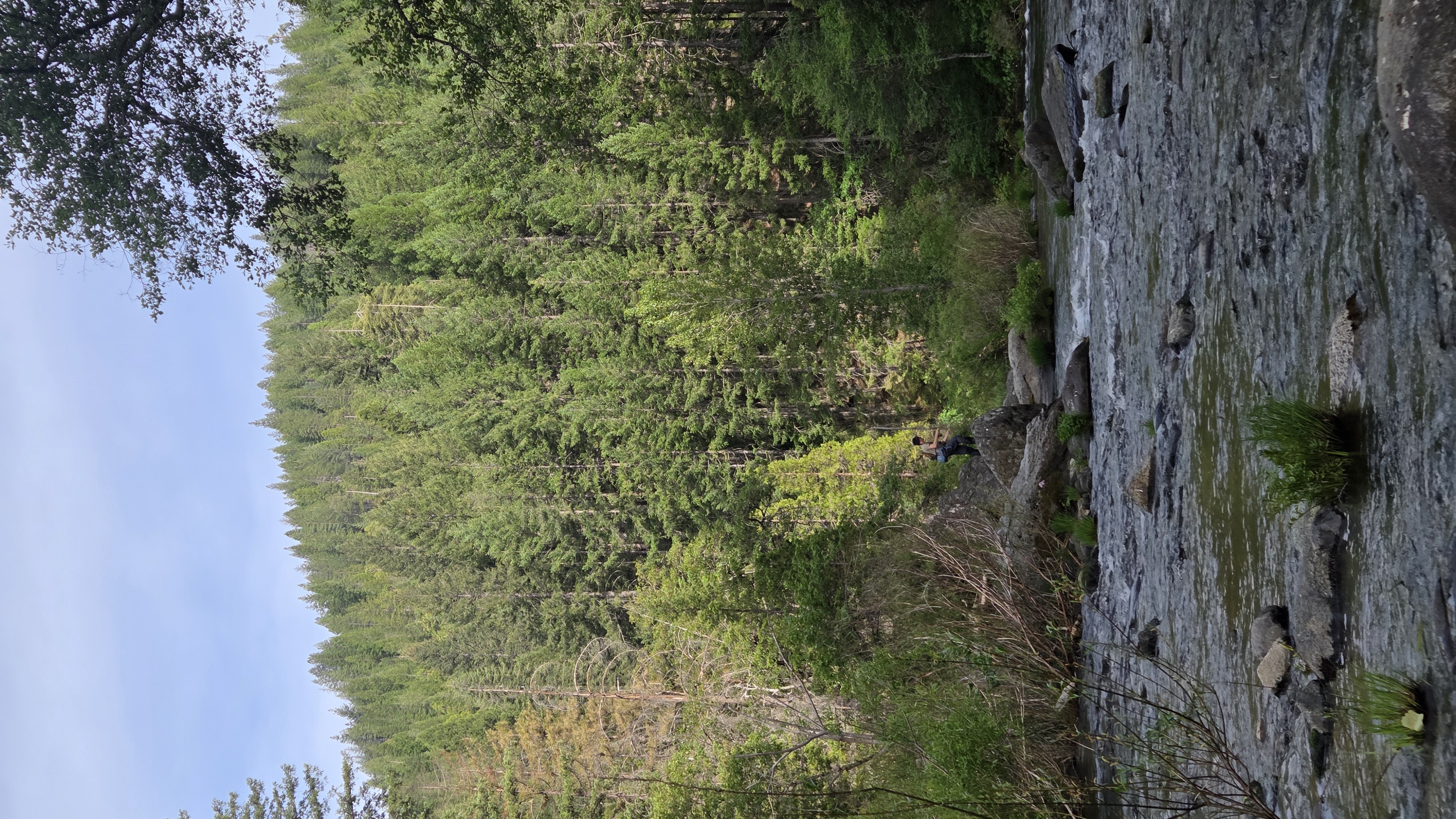 Sascha casting into a beautiful run on the Upper Sac